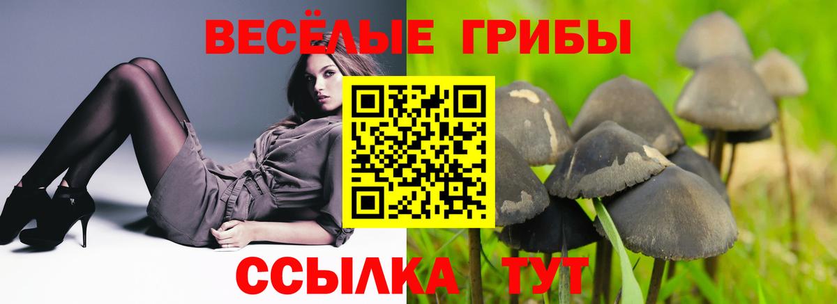 Владивосток  Галлюциногенные грибы мицелий  Вход с VPN 
